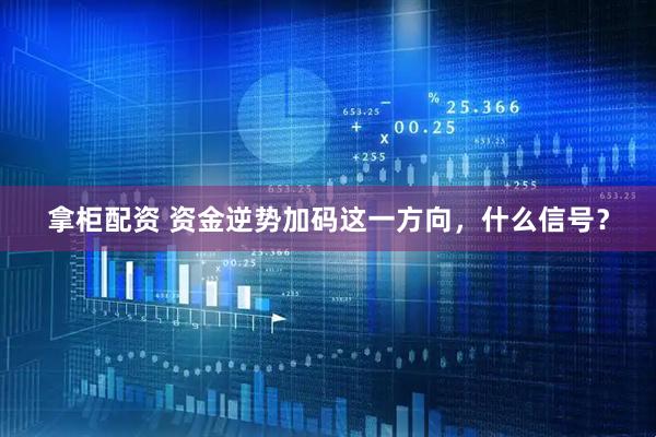 拿柜配资 资金逆势加码这一方向,什么信号?