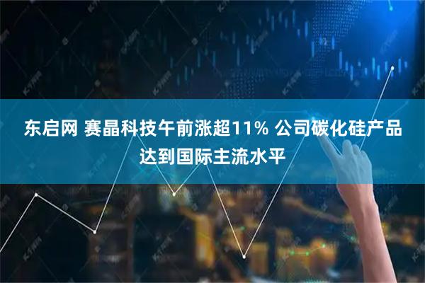 东启网 赛晶科技午前涨超11% 公司碳化硅产品达到国际主流水平